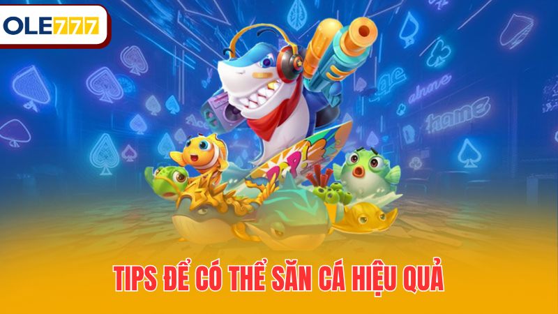 Tips để có thể săn cá hiệu quả